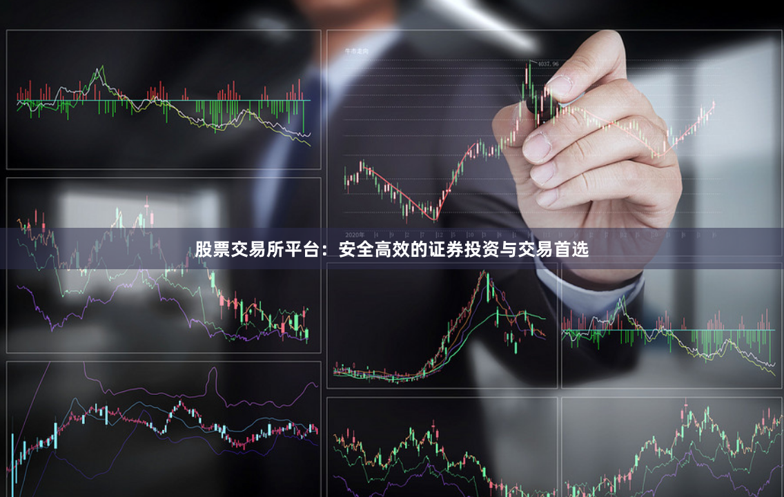 股票交易所平台：安全高效的证券投资与交易首选