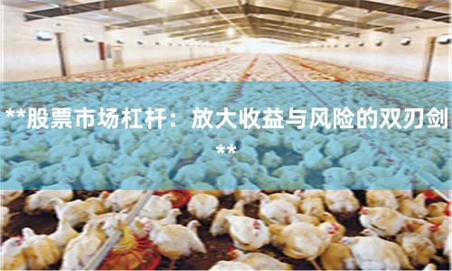 **股票市场杠杆：放大收益与风险的双刃剑**